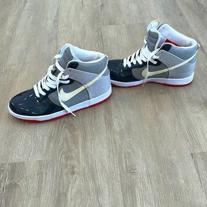 Men’s size 11 high top Nike Dunk